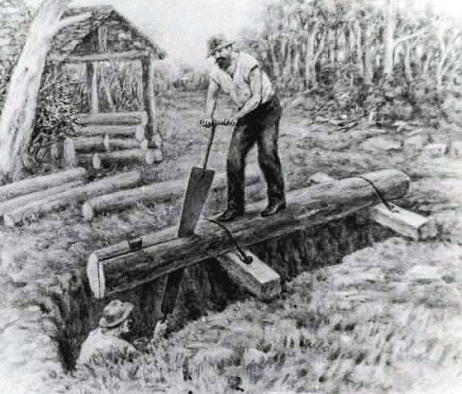 Pit sawing timber logs for building Early Tasmania