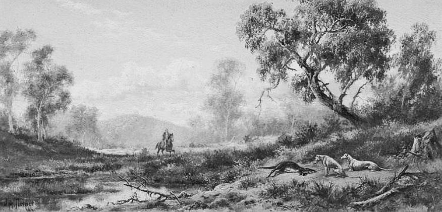Kangaroo hunt early Australia - good kangaroo dogs were greatly prized